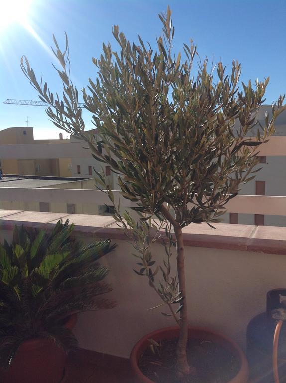 Villamari Apartment Alghero Kültér fotó